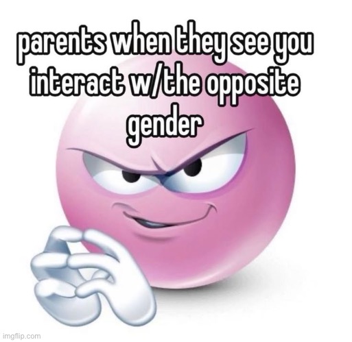 “do you like them??” no mom, we just met. | made w/ Imgflip meme maker