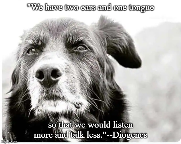 Wise dog | "We have two ears and one tongue; so that we would listen more and talk less."--Diogenes | image tagged in dogs | made w/ Imgflip meme maker
