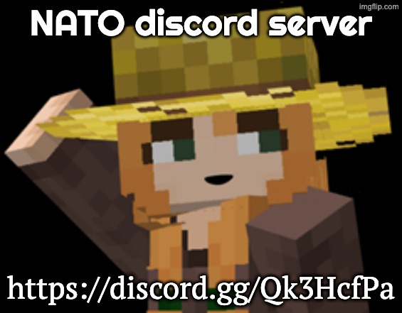 https://discord.gg/Qk3HcfPa | NATO discord server; https://discord.gg/Qk3HcfPa | image tagged in minecraft female farmer villager | made w/ Imgflip meme maker