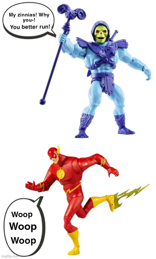 image tagged in skeletor,the flash | made w/ Imgflip meme maker