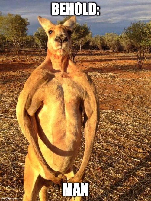 Platos man | BEHOLD:; MAN | image tagged in buff kangaroo | made w/ Imgflip meme maker
