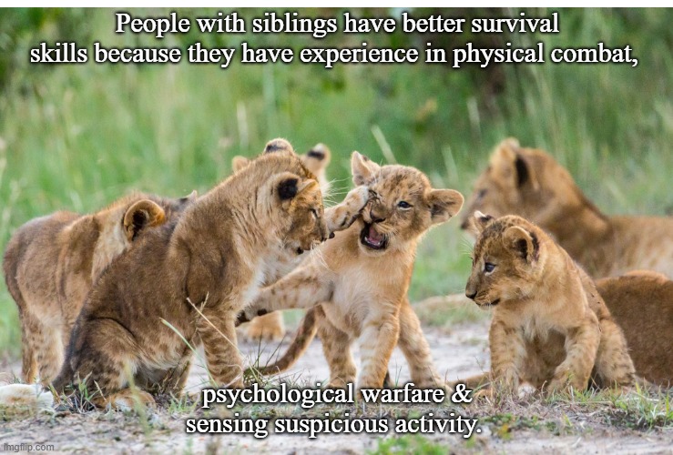 people with siblings | People with siblings have better survival skills because they have experience in physical combat, psychological warfare & sensing suspicious activity. | image tagged in big cats | made w/ Imgflip meme maker