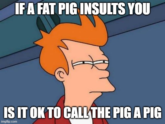 Futurama Fry | IF A FAT PIG INSULTS YOU; IS IT OK TO CALL THE PIG A PIG | image tagged in memes,futurama fry | made w/ Imgflip meme maker