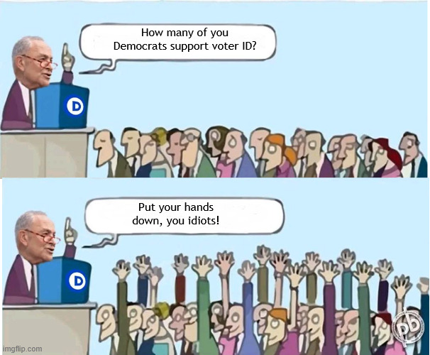 How many of you Democrats support voter ID? Put your hands down, you idiots! | made w/ Imgflip meme maker