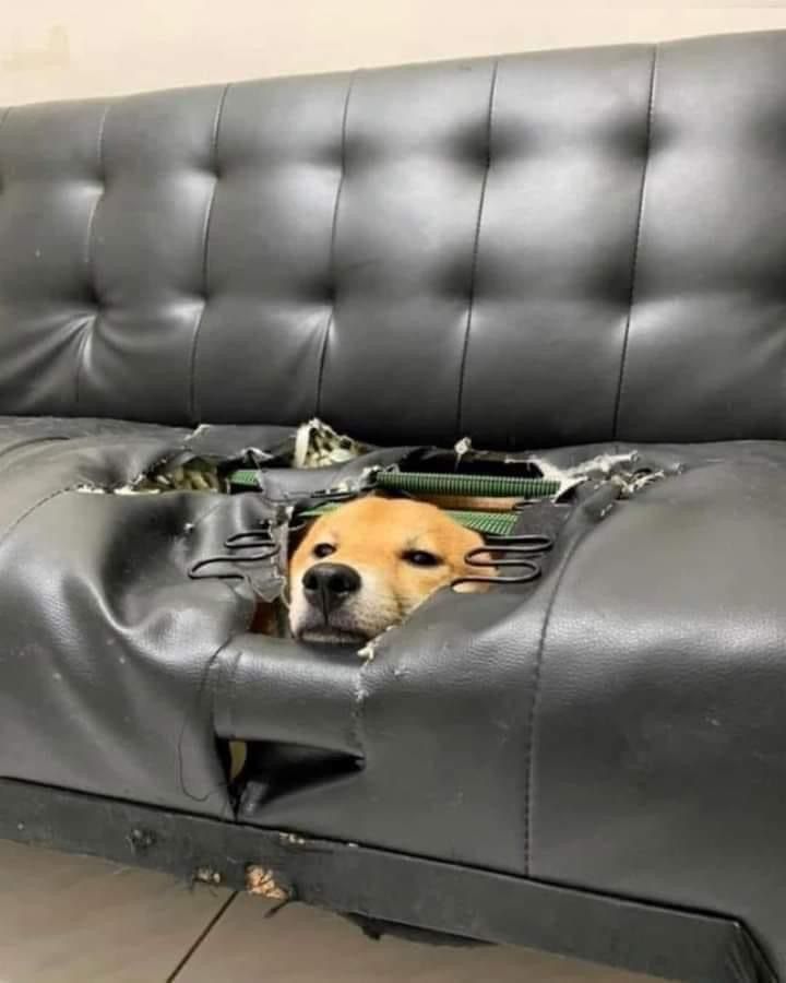 Chrisjoines1 Blank Meme Template