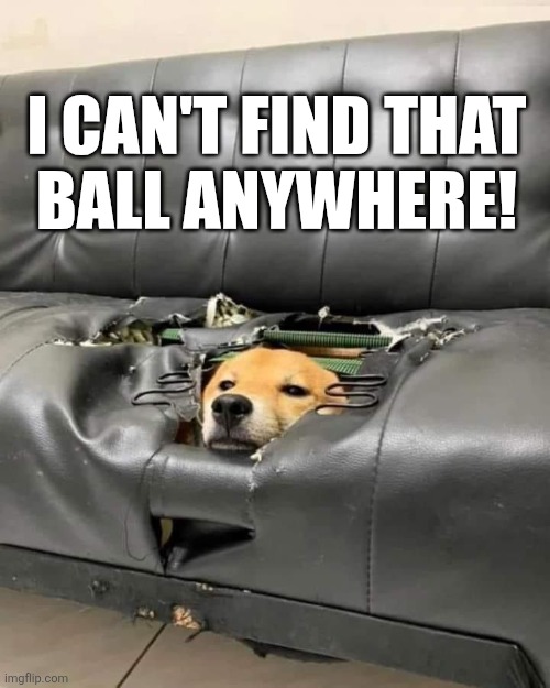 I Can't Find That Ball Anywhere | I CAN'T FIND THAT
BALL ANYWHERE! | image tagged in chrisjoines1 | made w/ Imgflip meme maker