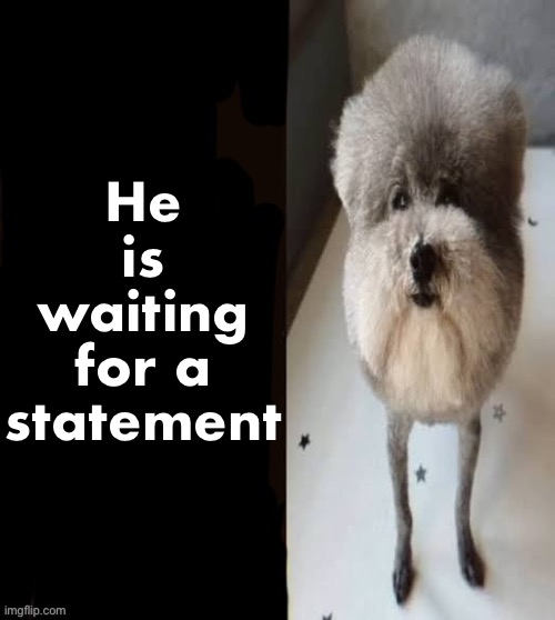 What is your opinion on me (since I haven’t outright asked very recently) | He is waiting for a statement | image tagged in he made a statement blank | made w/ Imgflip meme maker