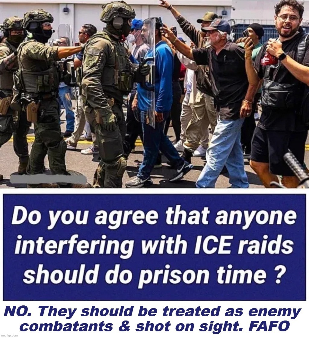 Do you agree that anyone interfering with ICE raids should do prison time? | image tagged in ice,ice raids,illegal immigrants,wetbacks,communists,crush the commies | made w/ Imgflip meme maker