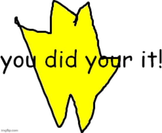 you did your it | image tagged in you did your it | made w/ Imgflip meme maker