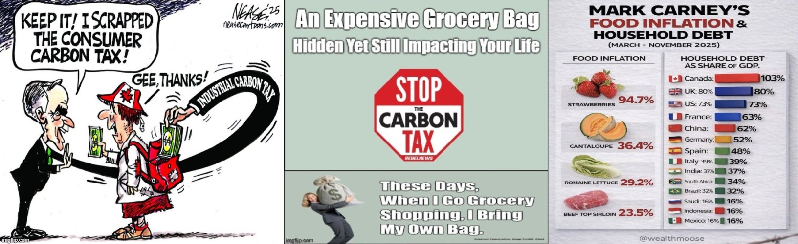 Liberal Carbon Tax | made w/ Imgflip meme maker