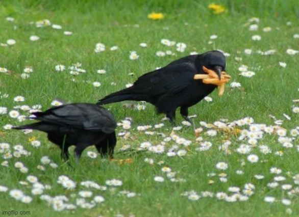 They eat | made w/ Imgflip meme maker