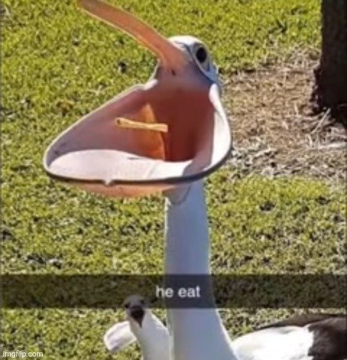 he eat | image tagged in he eat | made w/ Imgflip meme maker