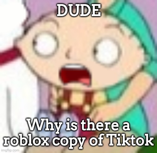 Its called moments | DUDE; Why is there a roblox copy of Tiktok | image tagged in stew,roblox | made w/ Imgflip meme maker