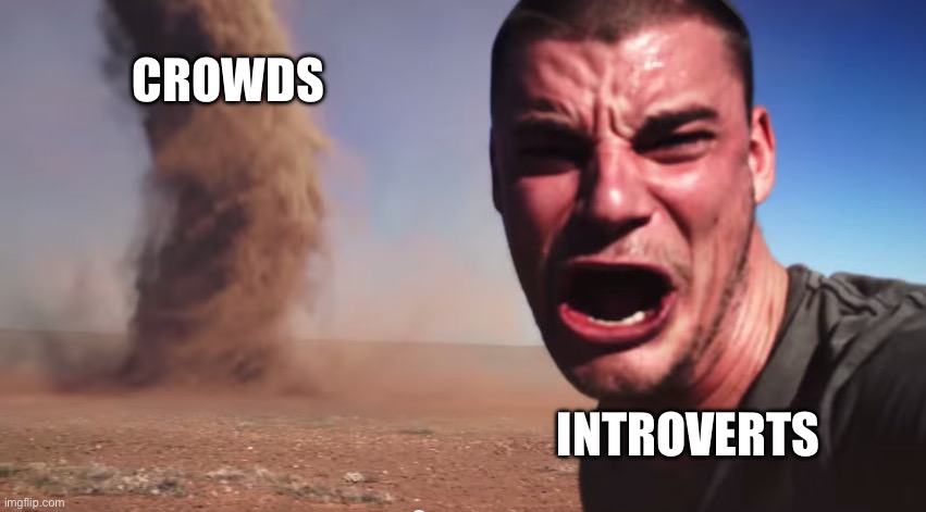 Here it comes | CROWDS; INTROVERTS | image tagged in here it comes | made w/ Imgflip meme maker