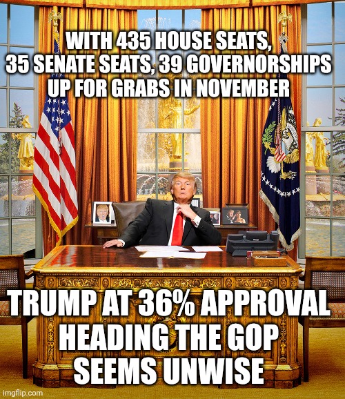 Tariffs, private unregulated army, threats to our allies, etc. are backfiring | WITH 435 HOUSE SEATS, 35 SENATE SEATS, 39 GOVERNORSHIPS UP FOR GRABS IN NOVEMBER; TRUMP AT 36% APPROVAL
HEADING THE GOP
SEEMS UNWISE | image tagged in trump to gop,donald trump,dementia,tariffs,ice agents | made w/ Imgflip meme maker