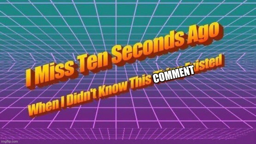 COMMENT | image tagged in i miss 10 seconds ago | made w/ Imgflip meme maker