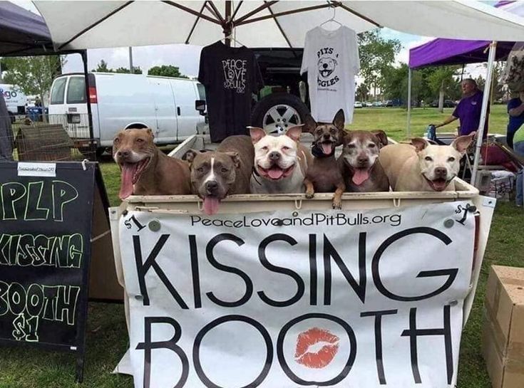 Chrisjoines1 Blank Meme Template