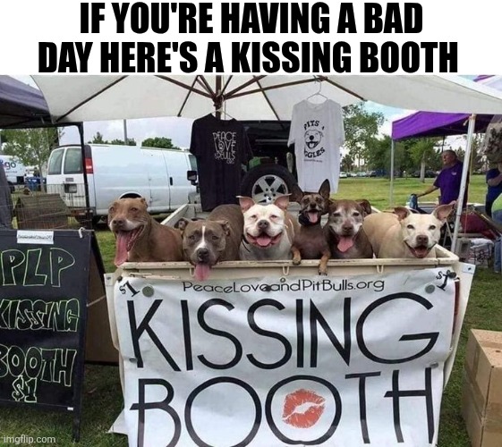 If You're Having A Bad Day | IF YOU'RE HAVING A BAD DAY HERE'S A KISSING BOOTH | image tagged in chrisjoines1 | made w/ Imgflip meme maker