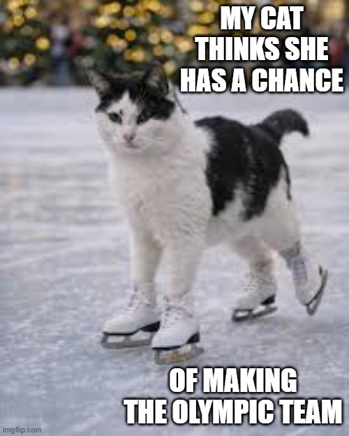 my cat thinks she as a chance of making the Olympic team. | MY CAT THINKS SHE HAS A CHANCE; OF MAKING THE OLYMPIC TEAM | image tagged in cat,kitten,humor,funny,olympics,ice skating | made w/ Imgflip meme maker