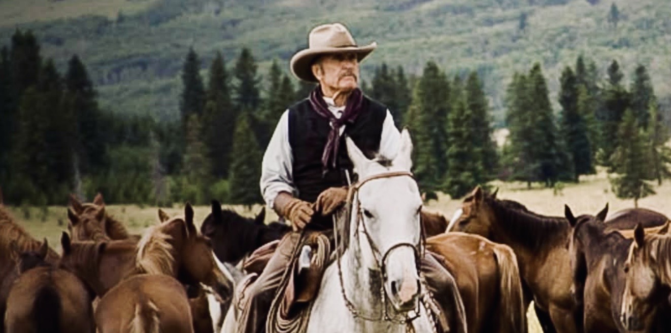 High Quality Robert Duvall Blank Meme Template