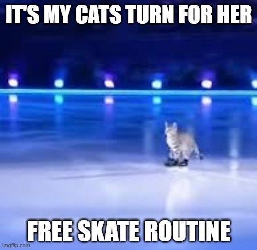 It's my cats turn at the Olympics for her free skate routine. | IT'S MY CATS TURN FOR HER; FREE SKATE ROUTINE | image tagged in cat,kittens,funny,humor,olympics,ice skating | made w/ Imgflip meme maker