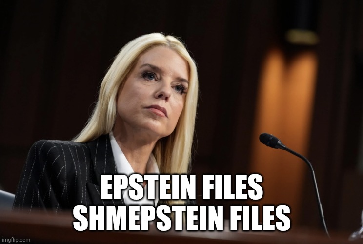 What files? | EPSTEIN FILES
SHMEPSTEIN FILES | image tagged in pam bondi | made w/ Imgflip meme maker