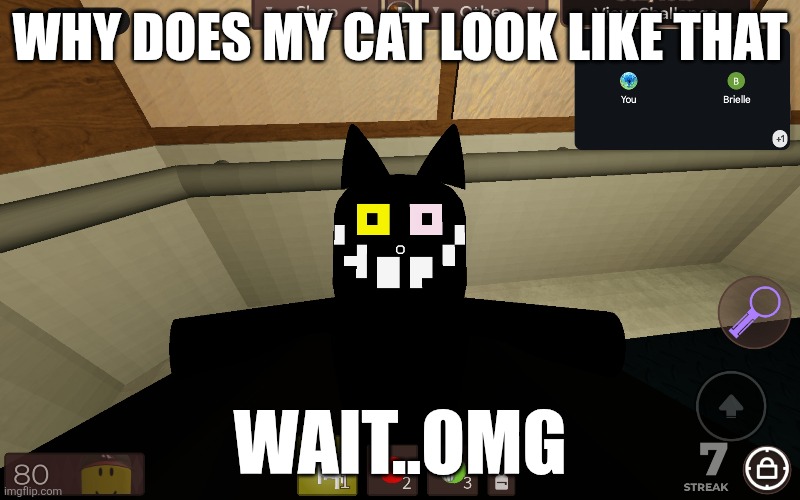 Regretevator OMG | WHY DOES MY CAT LOOK LIKE THAT; WAIT..OMG | image tagged in deltarune | made w/ Imgflip meme maker