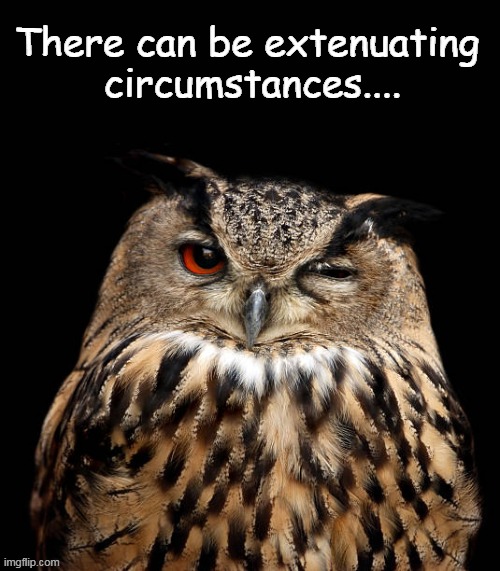 There can be extenuating 
circumstances.... | made w/ Imgflip meme maker
