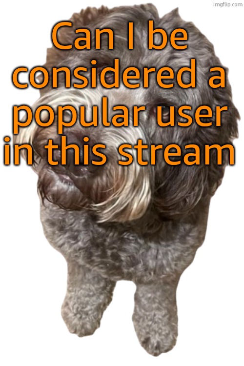 Just asking | Can I be considered a popular user in this stream | image tagged in northers dog transparent | made w/ Imgflip meme maker