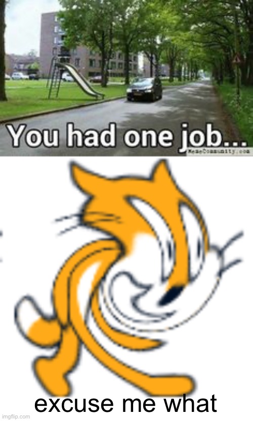 excuse me what | image tagged in memes,you had one job,scratch,whirled cat | made w/ Imgflip meme maker