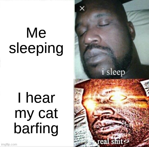 Sleeping Shaq | Me sleeping; I hear my cat barfing | image tagged in memes,sleeping shaq | made w/ Imgflip meme maker