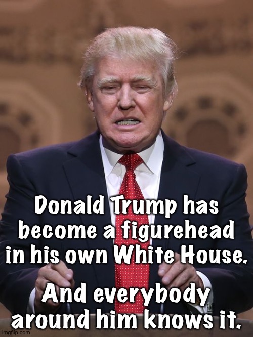 He's just too far gone. | Donald Trump has become a figurehead in his own White House. And everybody around him knows it. | image tagged in donald trump | made w/ Imgflip meme maker