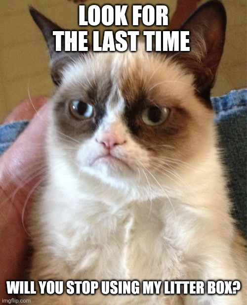 Stop using my litter box | LOOK FOR THE LAST TIME; WILL YOU STOP USING MY LITTER BOX? | image tagged in memes,grumpy cat,funny memes | made w/ Imgflip meme maker