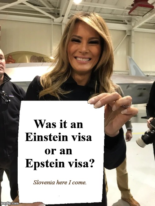 Lie on the application, you get deported. | Was it an 
Einstein visa 
or an 
Epstein visa? Slovenia here I come. | image tagged in melania trump blank sheet,trump,melania,liars,deportation,illegal immigrants | made w/ Imgflip meme maker