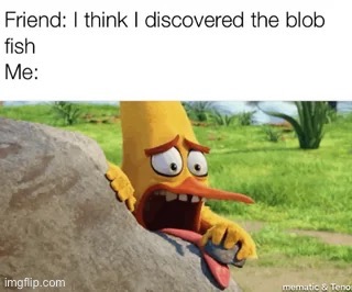 You go tit: dman bob fish | made w/ Imgflip meme maker