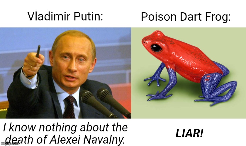 The Autocrat and The Amphibian | Poison Dart Frog:; Vladimir Putin:; LIAR! I know nothing about the
death of Alexei Navalny. | image tagged in memes,good guy putin,poison dart frog | made w/ Imgflip meme maker