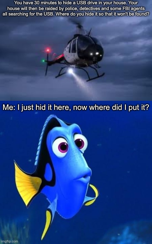 Whee would you hide the evidence? | You have 30 minutes to hide a USB drive in your house. Your house will then be raided by police, detectives and some FBI agents all searching for the USB. Where do you hide it so that it won't be found? Me: I just hid it here, now where did I put it? | image tagged in police searchlight,dory forgets,hide and seek,searching,fbi,usb | made w/ Imgflip meme maker
