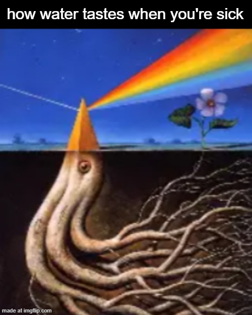 how water tastes when you're sick | made w/ Imgflip meme maker