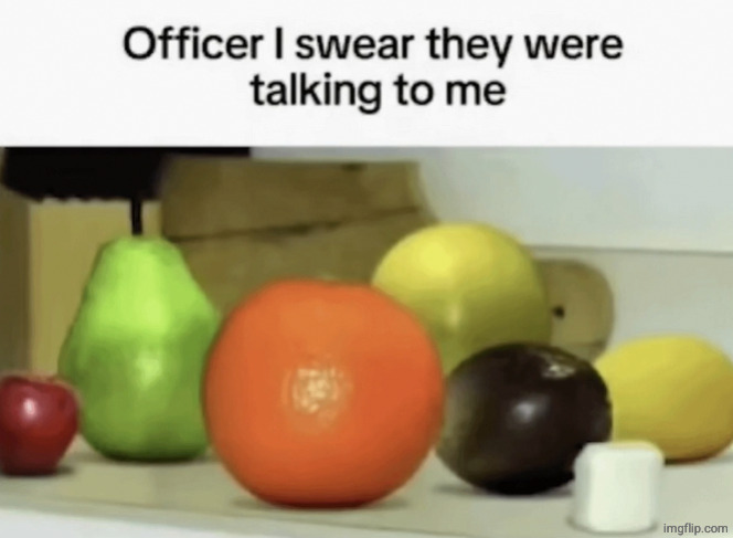 Officer I swear they were talking to me | image tagged in officer i swear they were talking to me | made w/ Imgflip meme maker