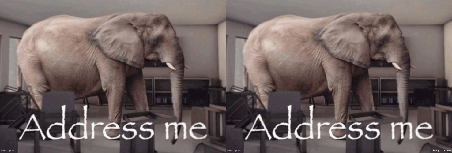 image tagged in address me | made w/ Imgflip meme maker