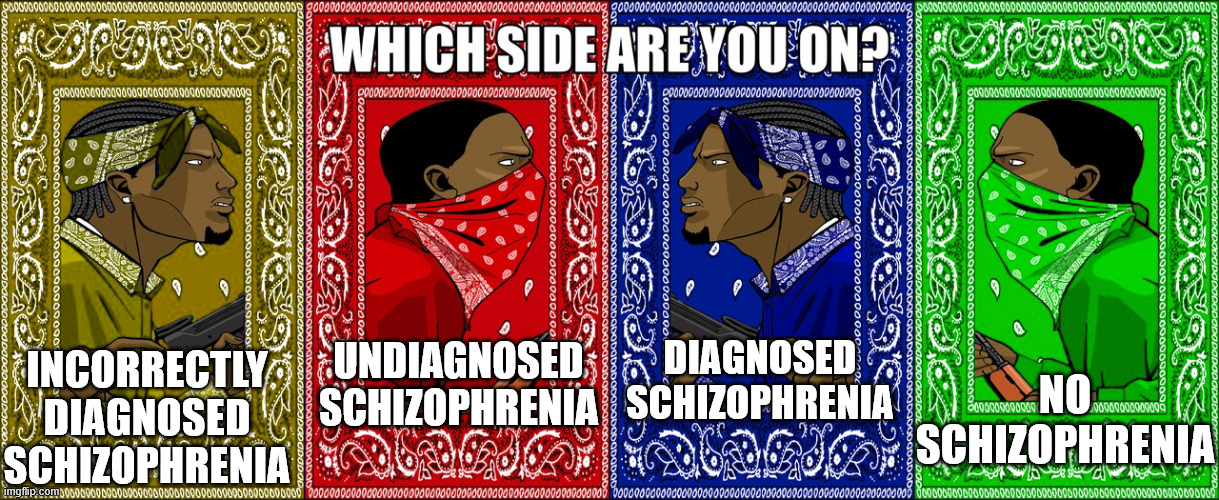 WHICH SIDE ARE YOU ON | DIAGNOSED SCHIZOPHRENIA; INCORRECTLY DIAGNOSED SCHIZOPHRENIA; UNDIAGNOSED SCHIZOPHRENIA; NO SCHIZOPHRENIA | image tagged in which side are you on four sides,schizophrenia | made w/ Imgflip meme maker