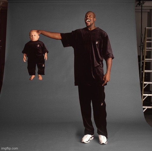 Shaq and Verne Troyer | image tagged in shaq and verne troyer | made w/ Imgflip meme maker