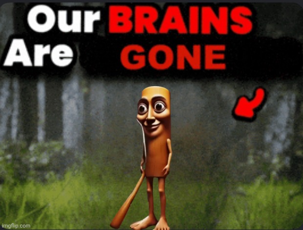 Our brains are GONE | image tagged in our brains are gone | made w/ Imgflip meme maker