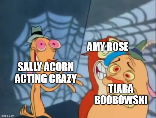 Sally Acorn is CRAZY! | AMY ROSE; SALLY ACORN ACTING CRAZY; TIARA BOOBOWSKI | image tagged in ren and stimpy but first,sonic the hedgehog,memes,sally acorn | made w/ Imgflip meme maker