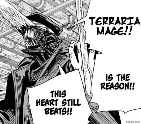 TERRARIA MAGE!! | made w/ Imgflip meme maker