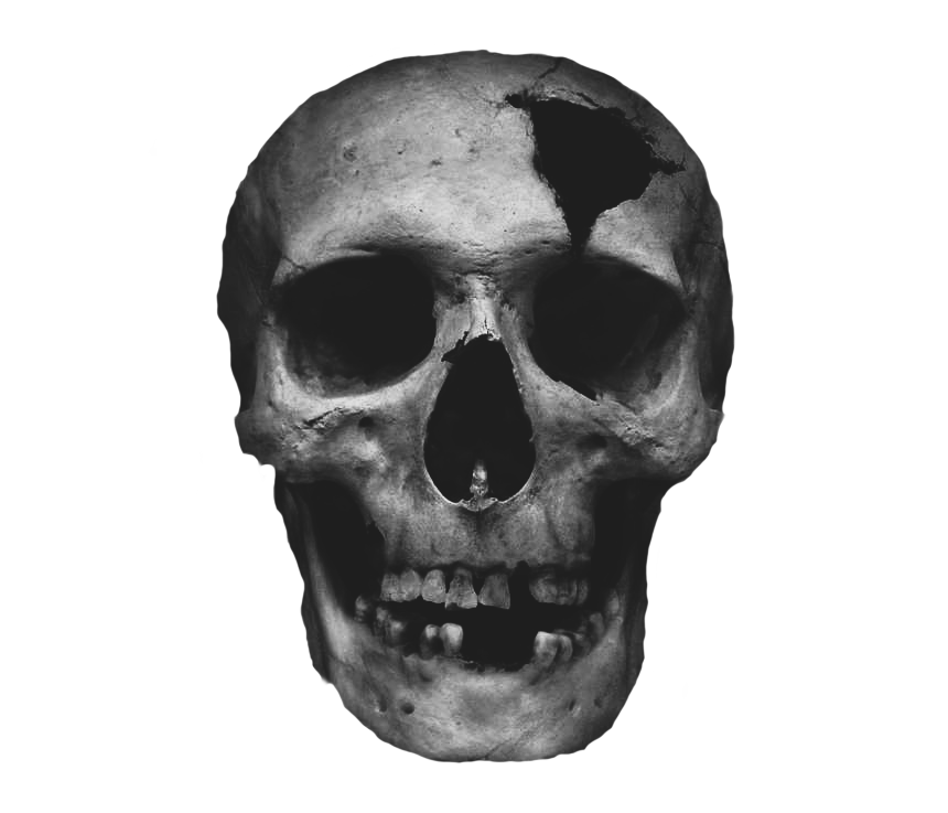 Gray Craked Skull Blank Meme Template