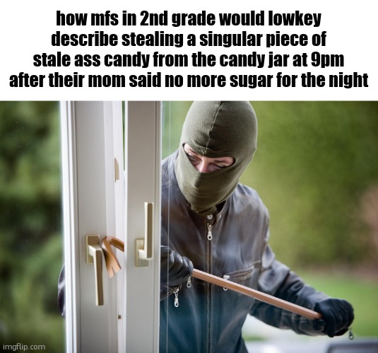 Burglar | how mfs in 2nd grade would lowkey describe stealing a singular piece of stale ass candy from the candy jar at 9pm after their mom said no more sugar for the night | image tagged in burglar | made w/ Imgflip meme maker