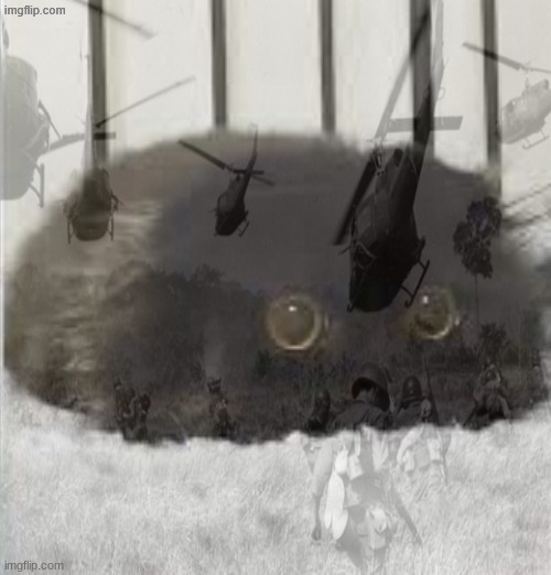 image tagged in ptsd cat | made w/ Imgflip meme maker