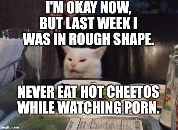 Smudge that darn cat | I'M OKAY NOW, BUT LAST WEEK I WAS IN ROUGH SHAPE. NEVER EAT HOT CHEETOS WHILE WATCHING PORN. | image tagged in smudge that darn cat | made w/ Imgflip meme maker