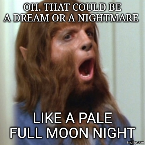 Teen Wolf | OH. THAT COULD BE A DREAM OR A NIGHTMARE LIKE A PALE FULL MOON NIGHT | image tagged in teen wolf | made w/ Imgflip meme maker